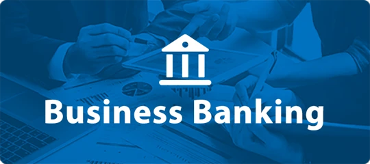 Pinnacle | Business Finance Resource Center